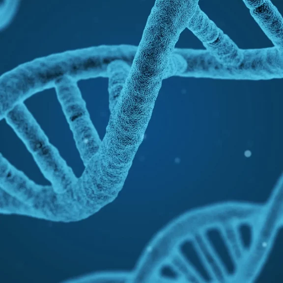 What Is Better: Microneedling with PRP or Exosomes?