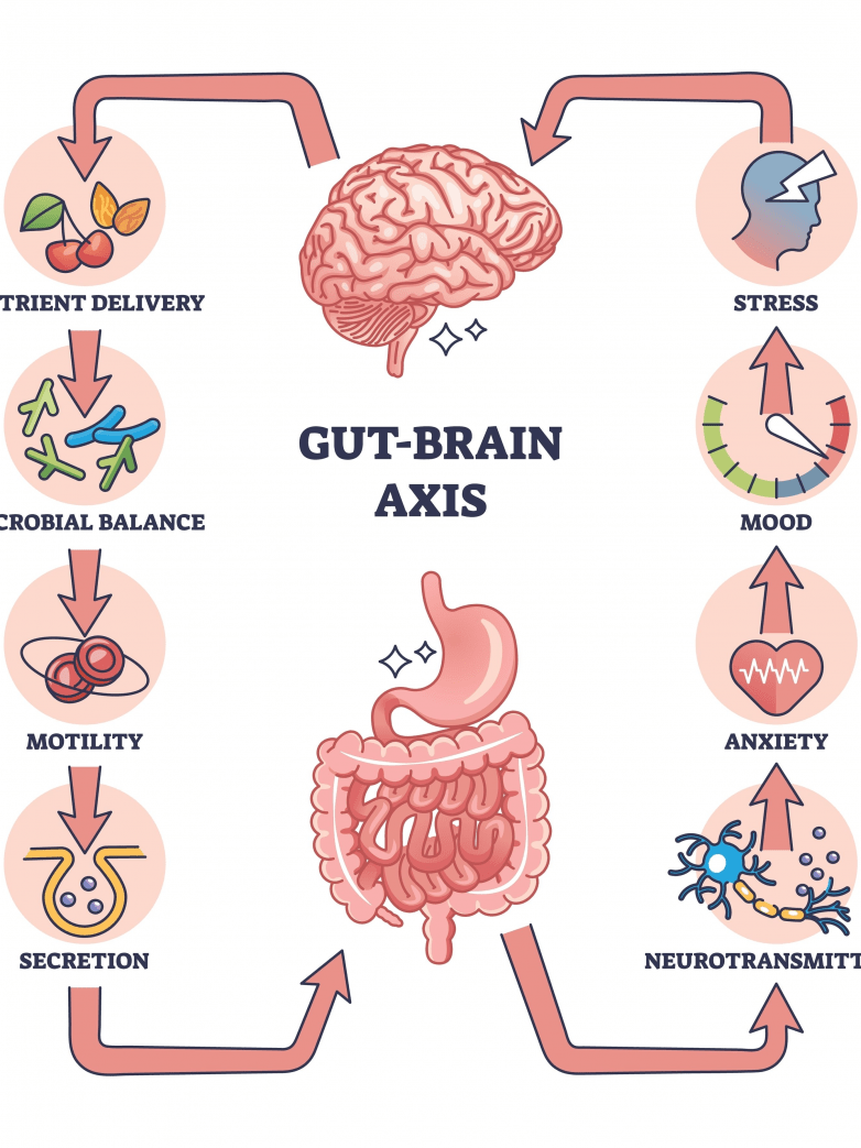 The Gut-Brain-Skin Connection: Why Your Glow Starts From Within