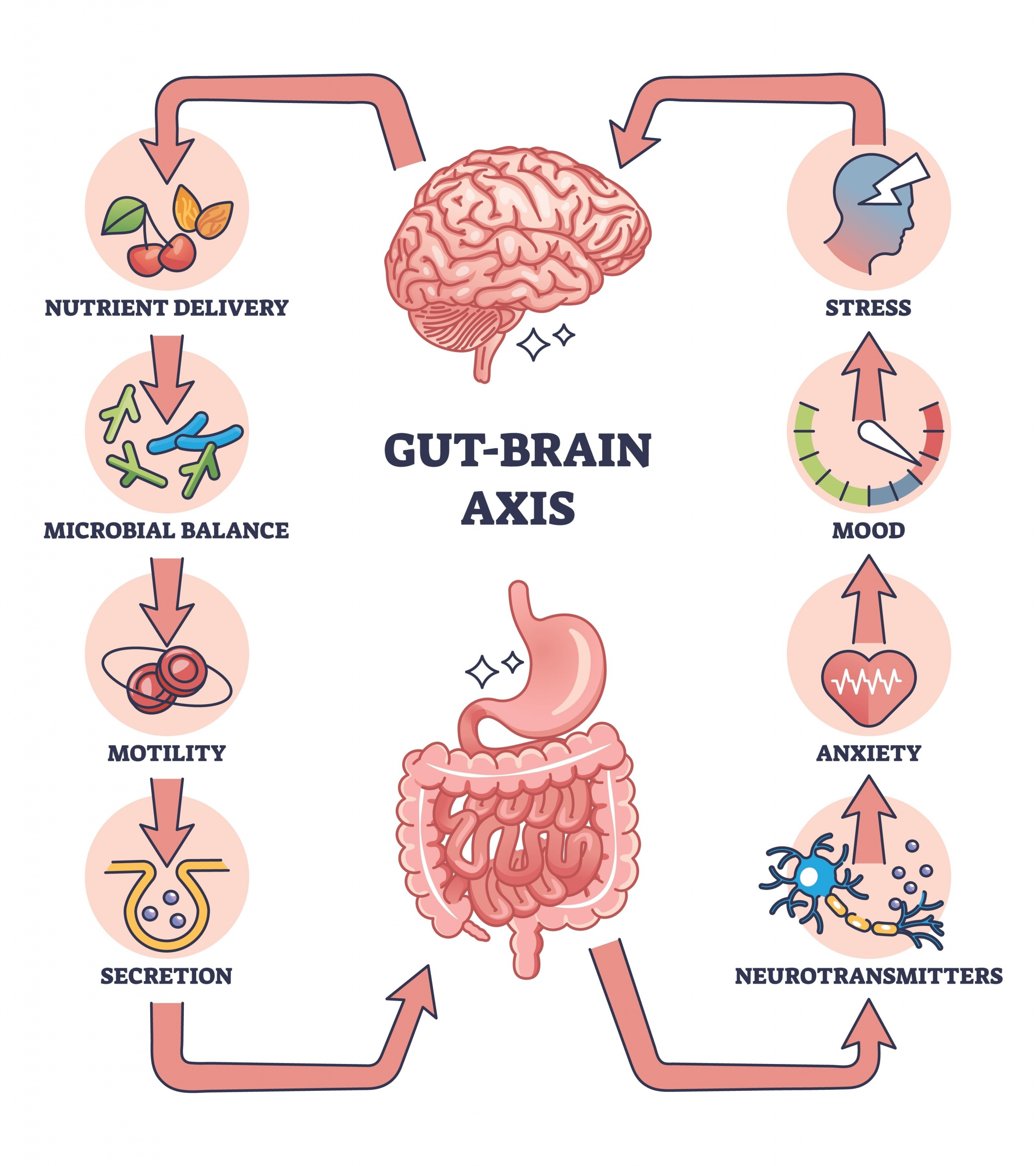 The Gut-Brain-Skin Connection: Why Your Glow Starts From Within